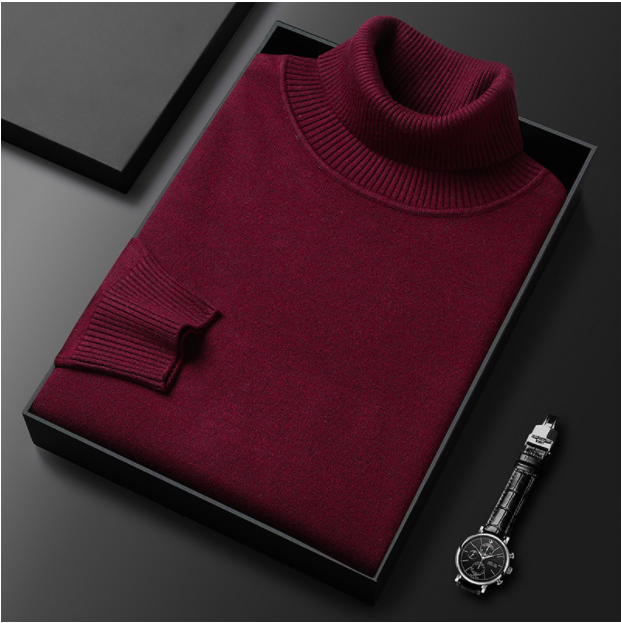 Lucas | Men Spring Turtleneck Casual Sweater